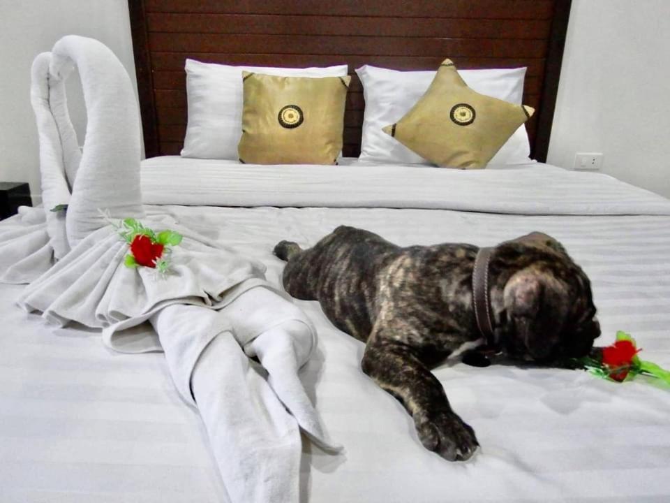 Vivi Boutique Room Hotel Sha Plus Rawai Ngoại thất bức ảnh