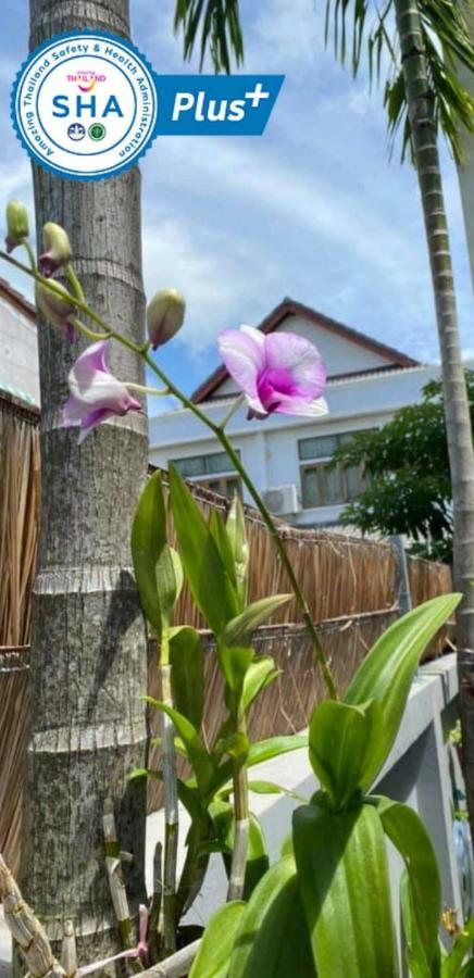 Vivi Boutique Room Hotel Sha Plus Rawai Ngoại thất bức ảnh